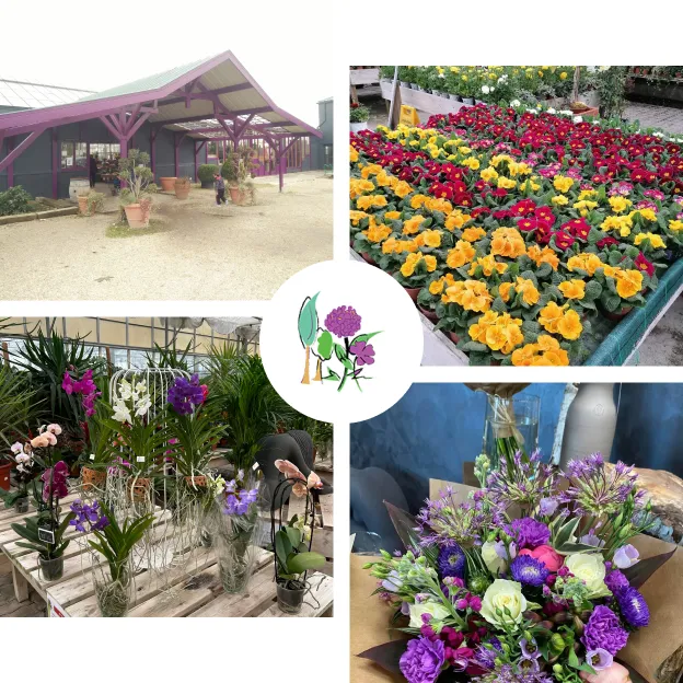 pépiniériste à Saint-Éloy-de-Gy près de Bourges dans le Cher 18