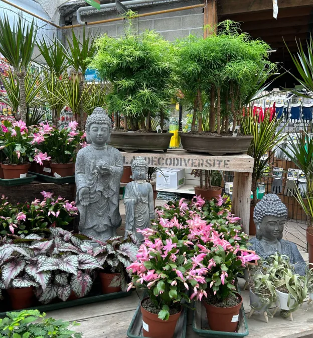 magasin horticole à Saint-Éloy-de-Gy près de Bourges dans le Cher 18