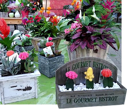 diverses fleurs et compositions florales aux jardins Saint-Eloy (18)