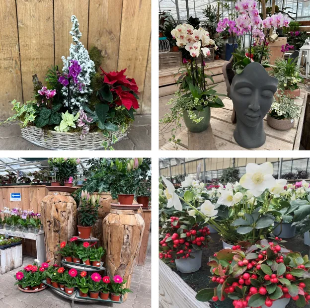 compositions florales à Saint-Éloy-de-Gy près de Bourges dans le Cher 18