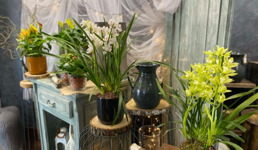 boutique de fleurs à Saint-Éloy-de-Gy près de Bourges dans le Cher 18