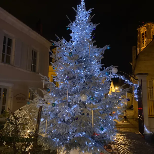fleuriste pour professionnels à Saint-Éloy-de-Gy près de Bourges dans le Cher 18