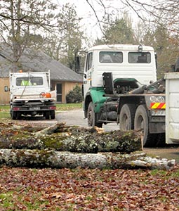 camion de Jardins St-Eloy pour l'abattage d'arbres dans le Cher (18)